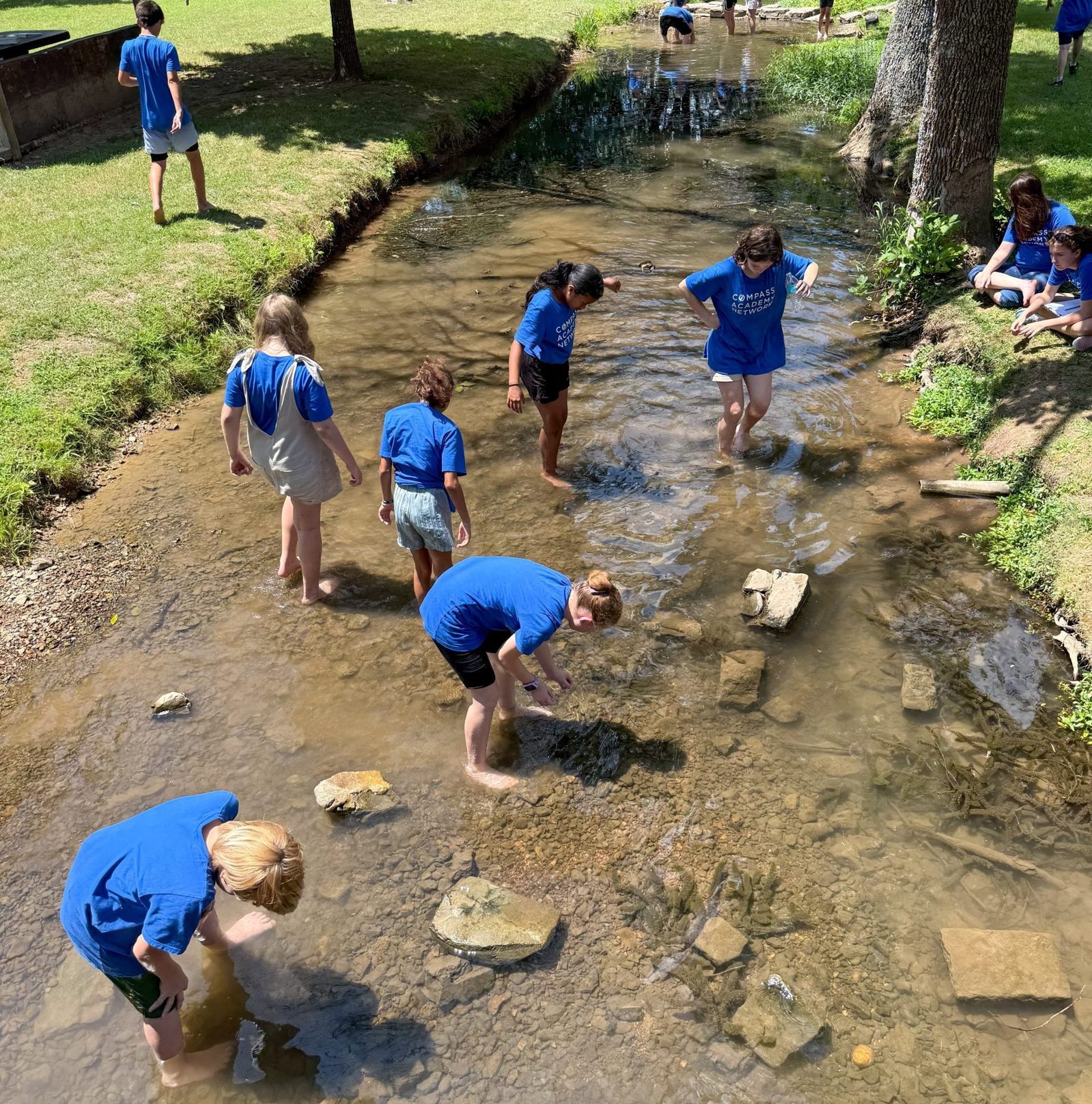 Students wading in a shallow brook